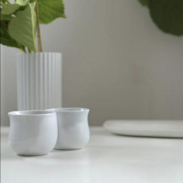 Pack 2 Vasos de Porcelana Cobra