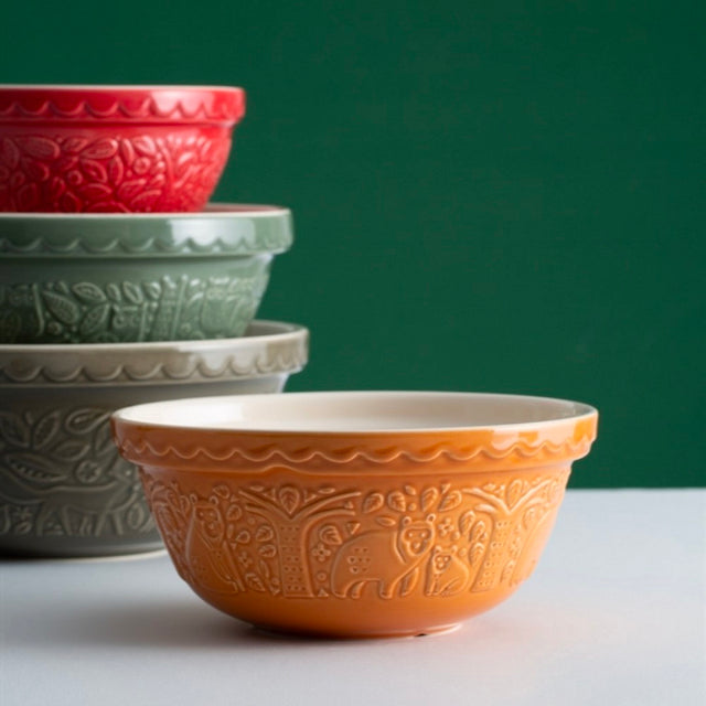 Bowl Naranjo Ocre In The Forest