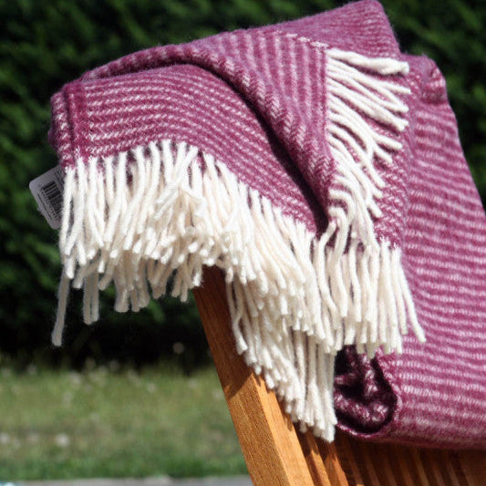 Manta Ralph Berenjena