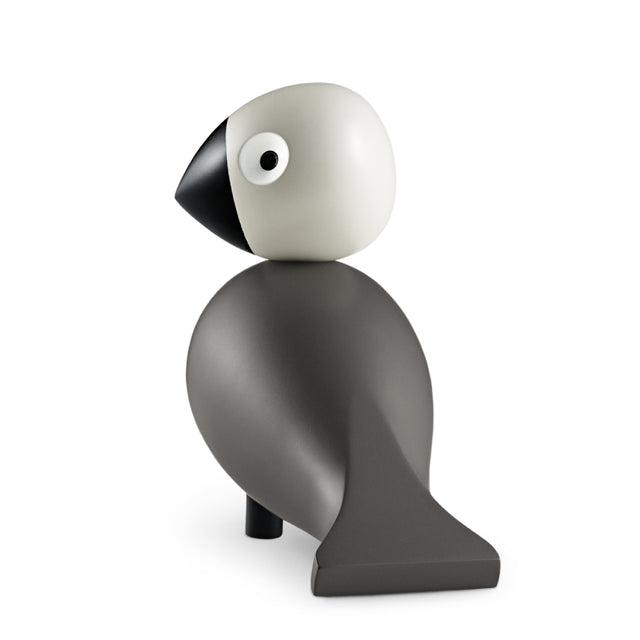 Pájaro Cantor Ernst