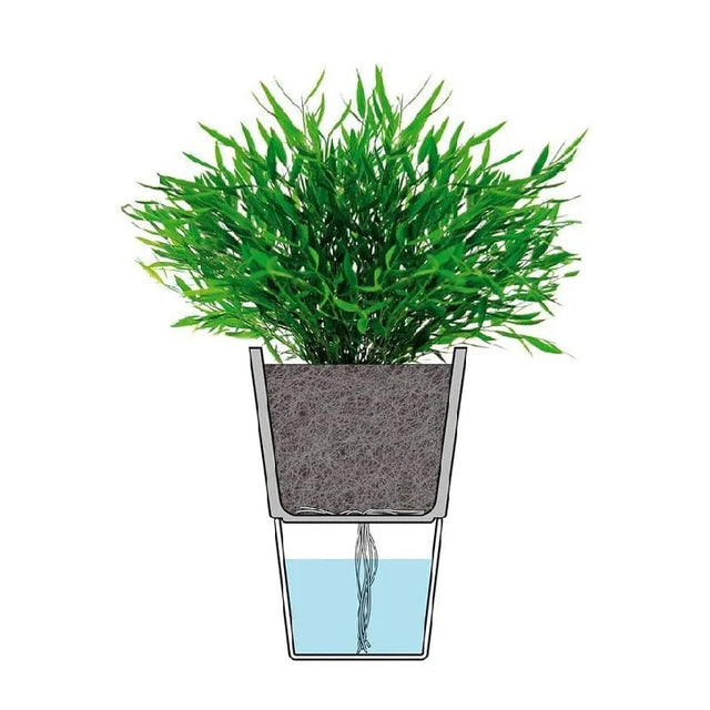 Macetero Autoriego Gris Oscuro