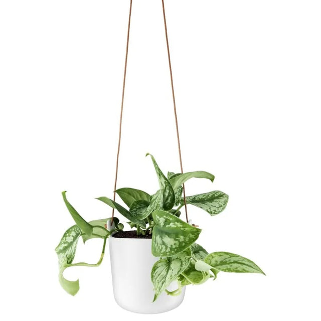 Macetero Colgante Autoriego Blanco