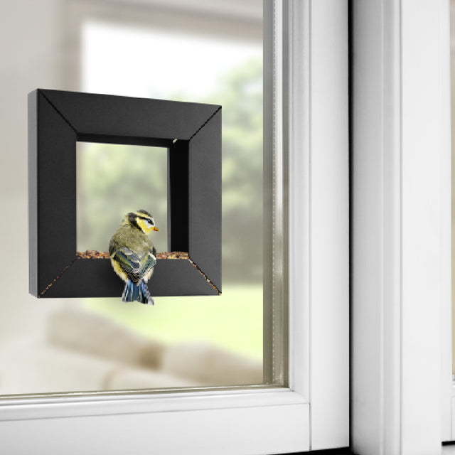 Marco Comedero Para Pájaros