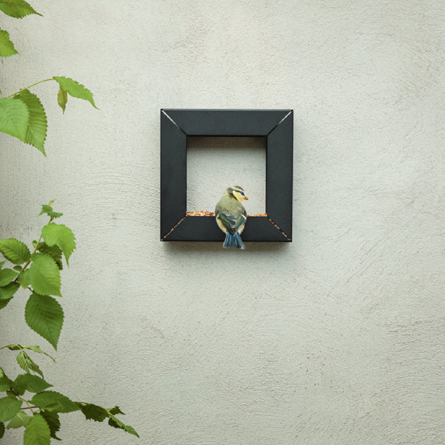 Marco Comedero Para Pájaros