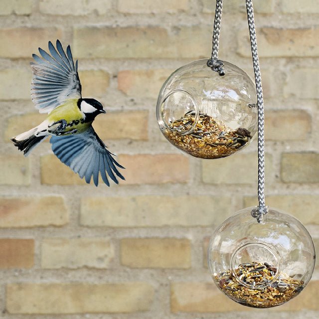 Set 2 Alimentadores Pequeños de Aves