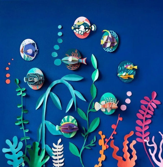 Animales Marinos Marine Angelfish