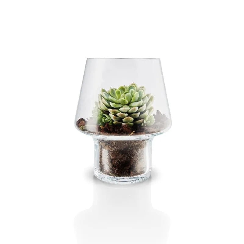 Macetero de Cristal para Suculenta – Ø15cm