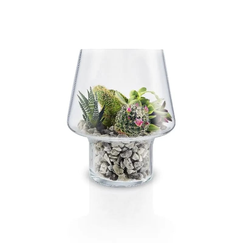 Macetero de Cristal para Suculenta – Ø15cm