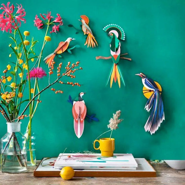 Ave del Paraíso Rani