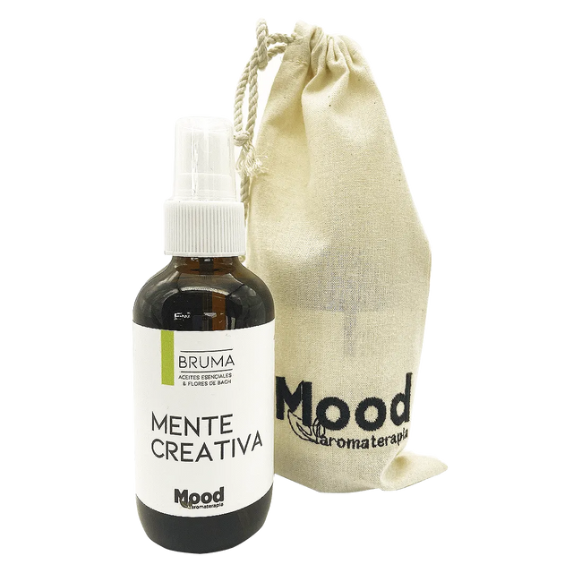 Bruma Mente Creativa