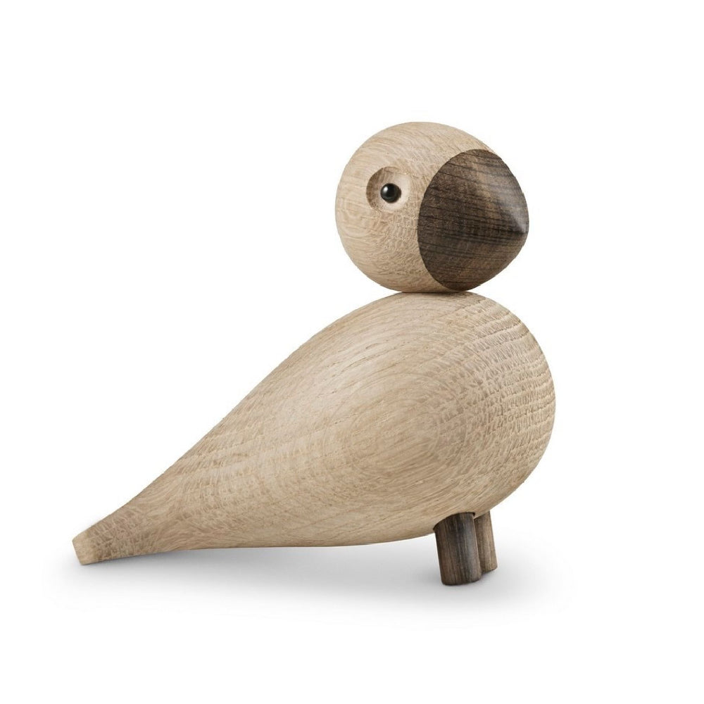 Pájaro Cantor Alfred