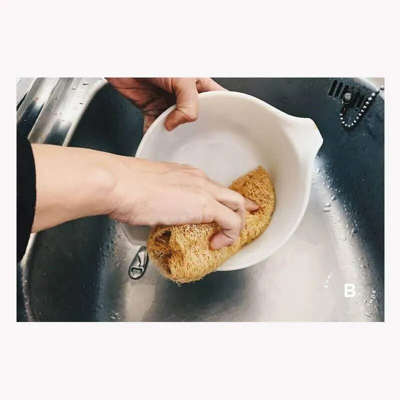 Esponja Vegetal Lufa Mediana