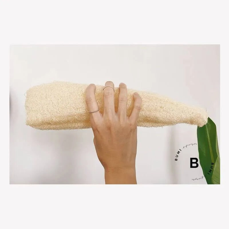 Esponja Vegetal Lufa Mediana
