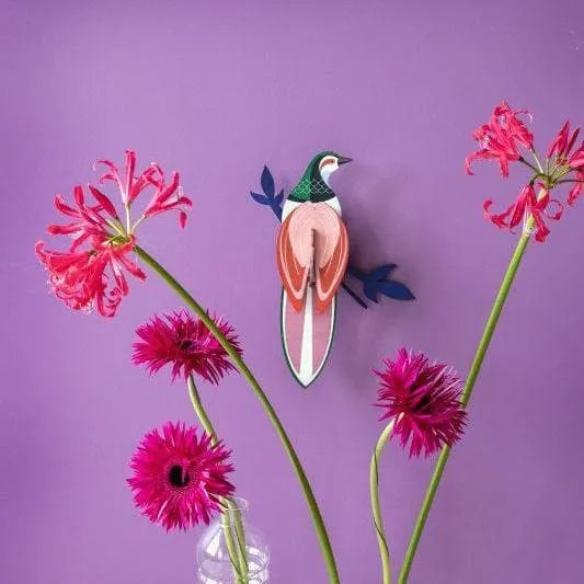 Ave del Paraíso Rani