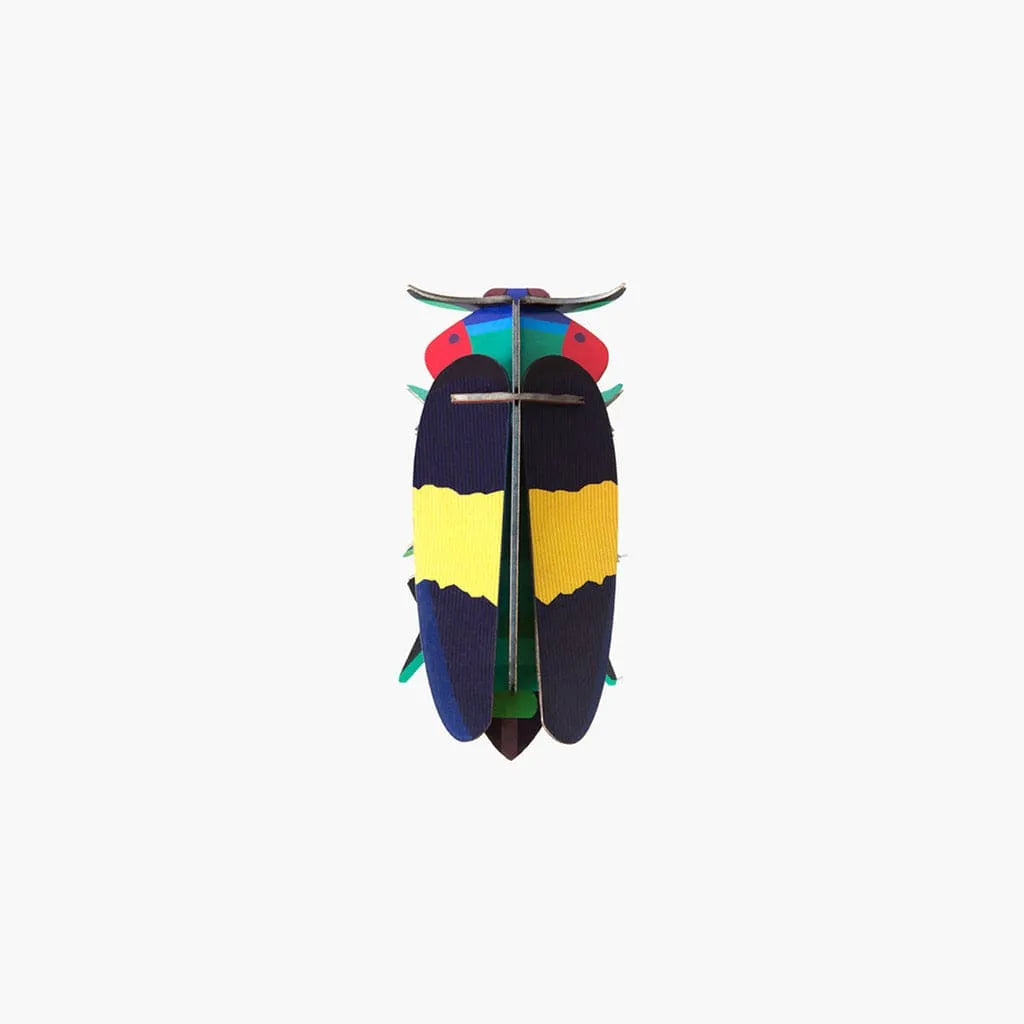 Pequeño Insecto Jewel Beetle
