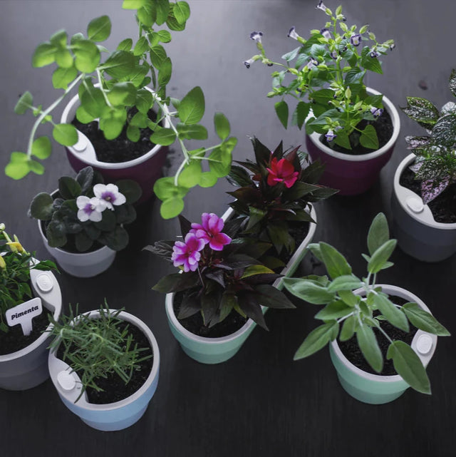 Macetero Autorriego Gris 1,6 Lt