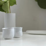 Pack 2 Vasos de Porcelana Cobra