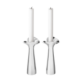 Set 2 Candelabros Bloom Botánica