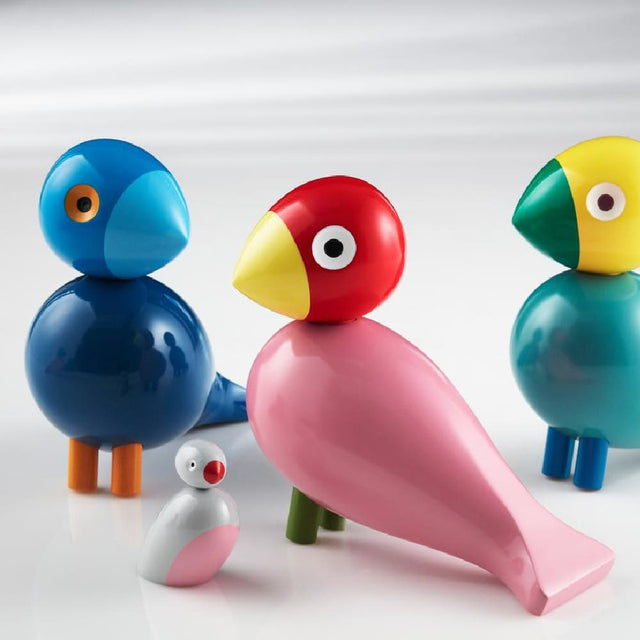Pájaro Cantor Kay