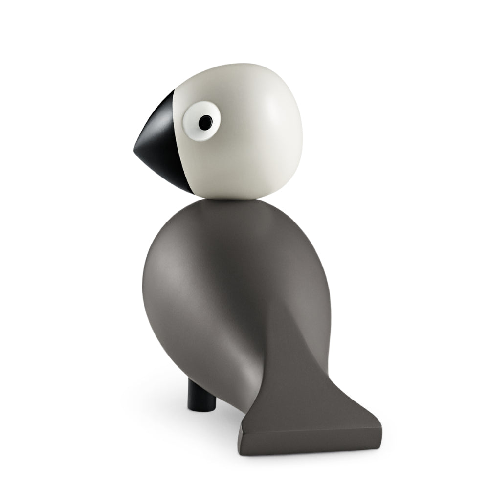 Pájaro Cantor Ernst