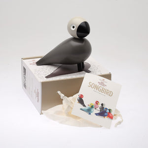 Pájaro Cantor Ernst