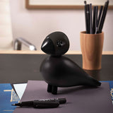 Pájaro Cantor Grande Ravn