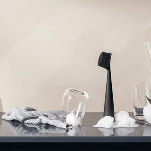 Cepillo de Lavado Negro