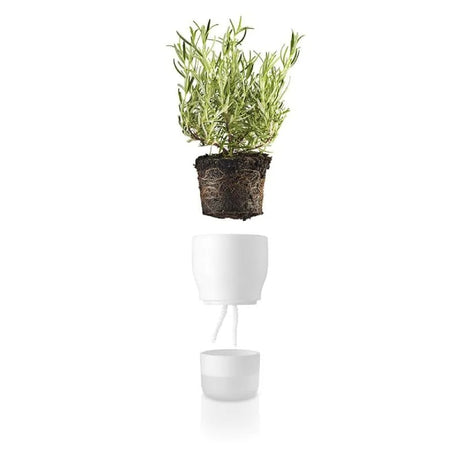Macetero Autoregante Grande Pot Blanco