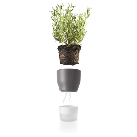 Macetero Autoregante Grande Pot Gris
