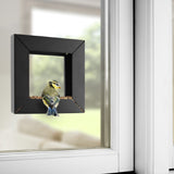 Marco Comedero Para Pájaros