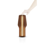 Lámpara de Roble Radiant LED