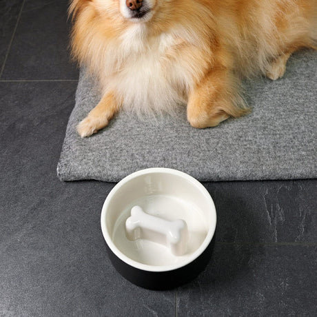 Plato Negro Mediano Para Comida de Mascotas
