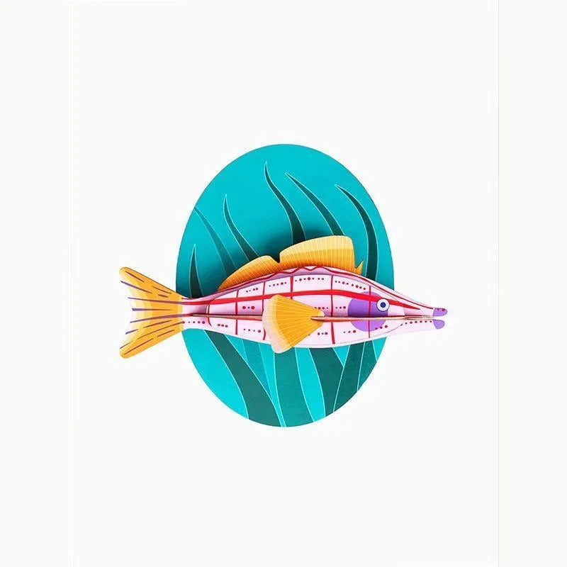 Gran Pez Longnose Hawkfish
