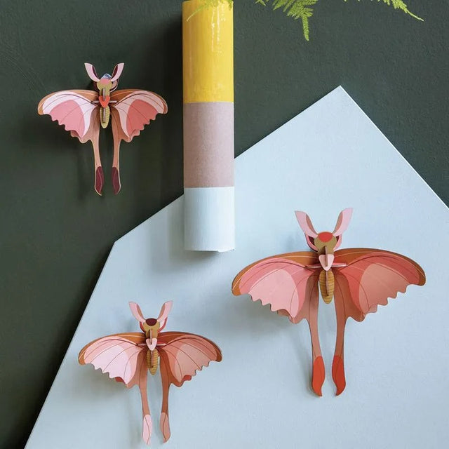 Set de 3 Comet Butterflies