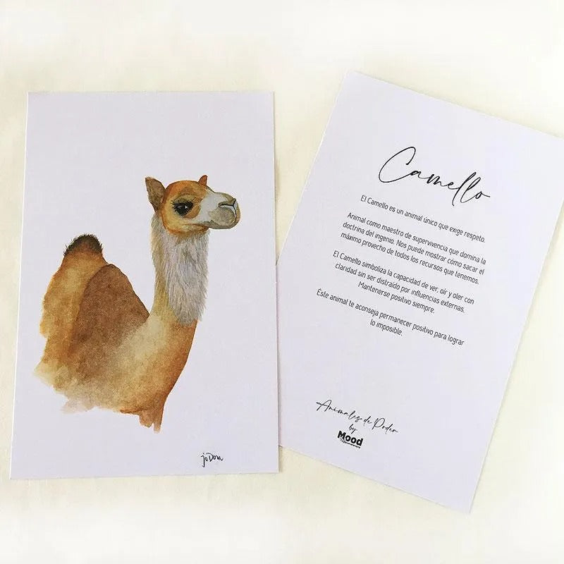 Animal de Poder Camello