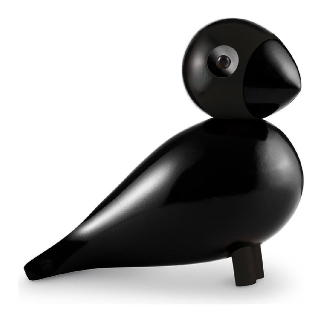 Pájaro Cantor Grande Ravn