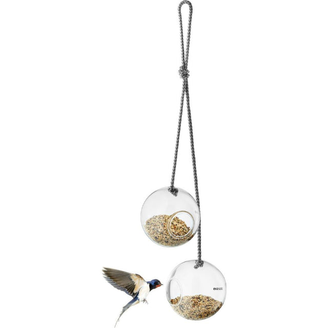 Set 2 Alimentadores Pequeños de Aves