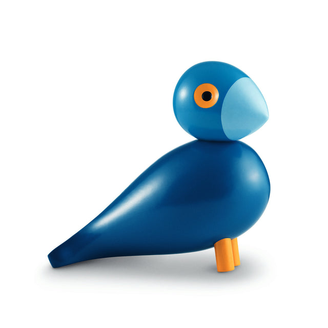 Pájaro Cantor Kay