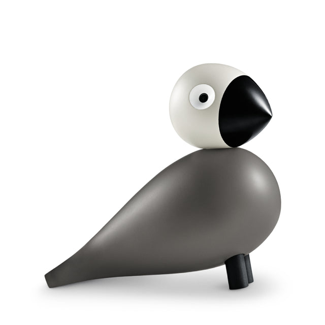 Pájaro Cantor Ernst