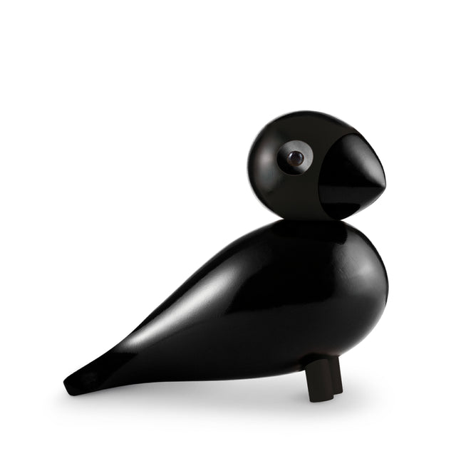 Pájaro Cantor Ravn