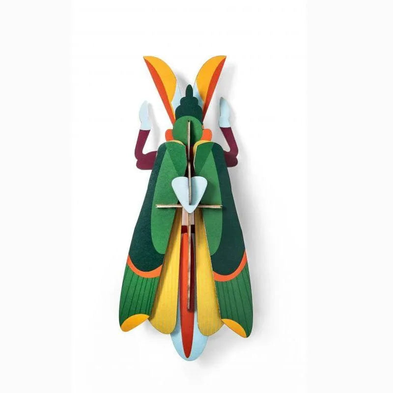 Insecto Grande Grasshopper